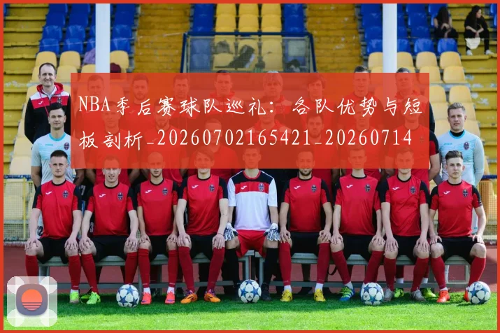 NBA季后赛球队巡礼：各队优势与短板剖析_20260702165421_20260714212312